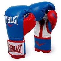 EVERLAST 파워 락 트레이닝 글러브, 블루