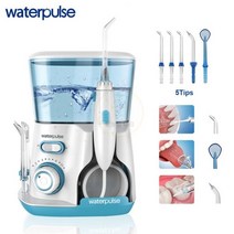 Waterpulse 구강 세척기 V300 치과 치아 미백 5 개 워터 제트 800ml 가족 관리를 위한 플로셔, 02 green_01 UK