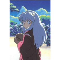 HAPPY 3D 이누야샤 보석십자수 라운드 큐빅 DIY 세트 직장인 집순이취미 비즈 태교십자수 20000260, 90x170