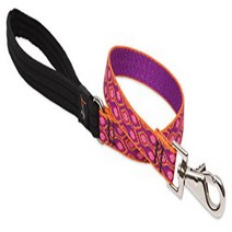 LupinePet Originals 3/4” Alpen Glow 2-foot Traffic Lead/Leash for Medium and Larger Dogs, 1