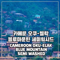 (커피생두) 119 카메룬 오쿠-엘락 블루마운틴 세미워시드 1kg