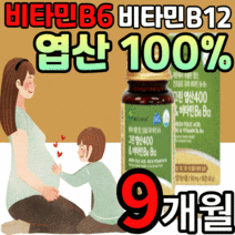천연 레몬유래 엽산 비타민b b6 b9 b12 100% 90정 임신전 부부 비타민 비 임신 초기 중기 말기 임산부 수유부 고용량 고함량 출산전 출산후 산후 영양제 식 약 처 인증, 9개월 분, 500mgX90정