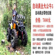 4륜 오프로드 산악전동 ATV 바이크 산악용 스쿠터, 17.自动离合大公牛套餐五