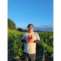 태양초 건고추 햇고추 국내산건고추 영주 봉화 600g, 꼭지제거세척건고추1근, 1봉