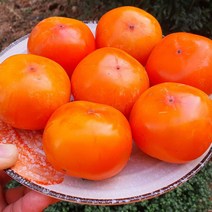 초달달촉촉 청도 반시 씨없는 홍시 가성비 좋은 가정용 판매중, 1박스, 5kg(청도반시/40과 내)