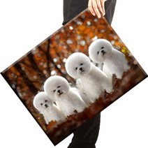 [당일 국내발송] 보석십자수 캔버스형 액자 세트 40x50cm, Q30모델