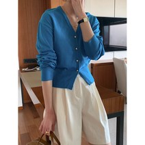 아잉 시카 금장단추 가디건(5color)