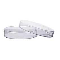 유리샬레 60mm 페트리디쉬 2P 과학 실험 돌봄 탐구 교재 실습 수업 학습 창의