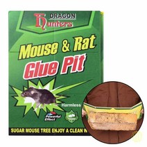 쥐 끈끈이 쥐퇴치 쥐약