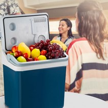 MOBICOOL 냉온장고 차량집겸용 냉방기 자동차 차량용냉장고, 기본, T02-블루색 12V 변압기 얼음주머니 6개
