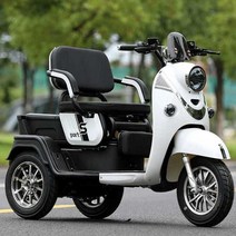 전기스쿠터 노인전동차 3 전동 바이크 세발 삼륜, 바구니A(배터리충전기X디스크/드럼)72V