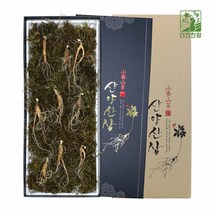 기운내삼 산양산삼 6-7년근 9뿌리 선물세트 선물포장 강원도 특산품 고산지대 산지직송 농장 정품 국내산 어버이날 추석 구정 명절선물 사포닌 진세노사이드 한국임업진흥원 품질검사합격