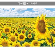 1014피스 직소퍼즐+액자세트 - 해바라기 들판 (액자포함), 단품, 단품