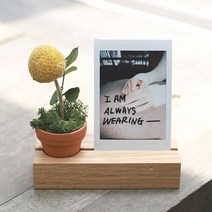 디엔캔들오 납골당추모액자, 오렌지골든볼
