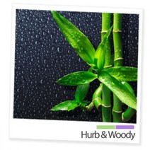 프래그런스 원액오일 50ml 22종 택1 디퓨저 소이캔들 캔들DIY 고급향료, 오리엔탈대나무