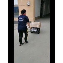 전동리어카 운반차 이륜수송 현장끌기 전동구루마 평판차 전기카트 전동카트, 전기이륜호랑이차 표준배정판