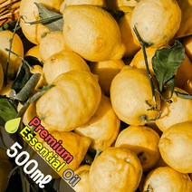 J025 버가못 500ml (Bergamot Essential Oil) 천연에센셜 오일 원액 아로마