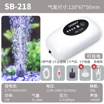 낚시기포기 USB 휴대용 자작기포기 충전식기포기 송보 양어 충전산소펌프 usb기포기, 후크포함70시간정밀전력량싱글홀에어스톤패키지