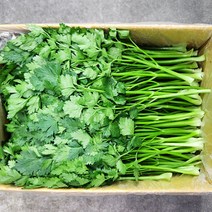 야채24닷컴 이태리 이탈리안 파슬리 파세리 향나물 1kg, 1개
