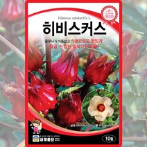 히비스커스 씨앗 10립 비타민C와 구연산 철분 식용으로 가능한 일년생 히비스커스씨 꽃씨앗, 단품
