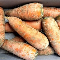 주스용 못난이 햇 흙 당근 상 3kg