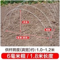 새로운 작은 아치 브래킷 야채 창고 기둥 분야 단열 FRP 단단한 유리 섬유 농업 묘목, 10개, 두께 6mm - 길이 1.8m