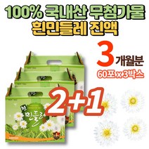 100% 국내산 토종 흰꽃 민들레 하얀민들레 흰민들레 진액 즙 원액 효소 엑기스 액기스 차 민들래 포공영 무첨가물, 3박스