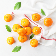 수토마켓 산지직송 당일선별 제주 서귀포 스윗 감귤 밀감 3kg 5kg, 스윗감귤 5kg, 로얄과(M~S)