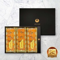 상주 반건시 곶감 선물세트 20구/30구 쉐프의 곶감, 02.상주반건시 선물세트 48g x30개