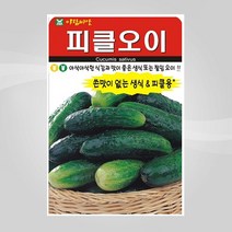 슬로시 슬로시 열매 씨앗 고추 토마토 콩 씨 종자, 피클오이50립(아람)