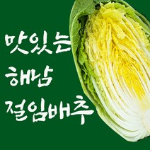 추천 철수네농장 2023 올해 땅끝 해남 절임배추20kg 절인배추 파는곳 산지 예약, 해남절임배추20kg, 목요일출고-금요일도착
