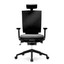 시디즈 시디즈 T55 시리즈 T550HLDA 의자 블랙에디션