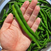 냉동 그린빈스 그린빈 1kg
