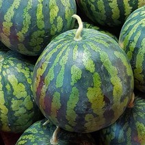 [참다올] 고당도 시원 달콤 수박 3-4kg, 상세 설명 참조