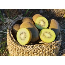 제주 골드키위 망고키위 한라스위트 제주도키위 2.5kg 5kg 25과 40과 내외, 1개, 5kg-소과 / 75과 내외