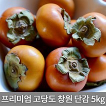 국내산 프리미엄 고당도 단감 창원 단감 5kg, 1박스, 프리미엄 고당도 단감 5kg