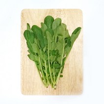 루꼴라 rucola 500g 로케트 루꼴라생잎 루꼴라잎 로케트잎, 1개