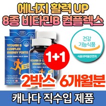 캐나다 코스트코 고함량 수용성 비타민 B 콤플렉스 B1 B2 B6 B12 비군 B군 판톤텐산 엽산 나이아신 비오틴 에너지 활력 영양제, 90캡슐, 2병