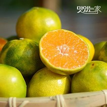 맛있는 새콤달콤 제주 감귤 4.5kg, 04.제주 햇 감귤 4.5kg 프리미엄과, 1개