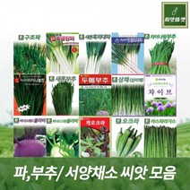 파 부추 서양채소 씨앗 모음, 4. 아시아장열80g