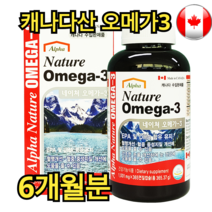 캐나다 네이쳐 오메가3 1001mg 365정 6개월분 DHA 성장기 어린이 청소년 학생 직장인 혈액순환 혈행 혈당 개선 부모님 어르신 건강 선물 영양제 중년 남성 여성 캡슐, 2개 (12개월분)