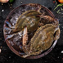 국내산 찜탕용 급속냉동 가을 암꽃게 2kg 3kg, 냉동꽃게 6-7호 3kg