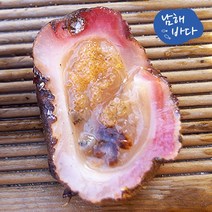 [남해바다] 돌멍게 1kg, 없음