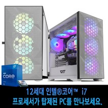 최신인텔 12세대 i7 게임용 pc 배틀그라운드 오버워치 롤 사이버펑크2077, 06. RAM 32G+HDD 1TB+NVMe 500G