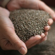 (인빌푸드)김천 햇 들깨(22년산) 6kg, 단품, 1개