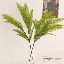 기타 바보사랑[소소플라워]기분좋게 부드러운 그린의 소철 가지 - 인테리어조화