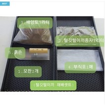 털깃털이끼 재배셋트 가정에서도 이끼를 재배 할 수 있게 저희 엠큐팜 농장에서 제공 합니다, 1개