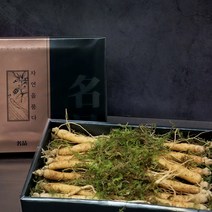 삼 생삼 수삼 인삼 6년근인삼 수삼효능 파삼 자연산 생인삼 200g 선물세트