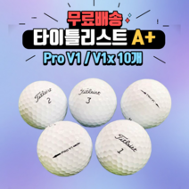 타이틀리스트 로스트볼 Pro V1 V1x A+ 등급 10개