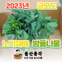 여수 금오도에서 키운 노지 방풍나물 3kg